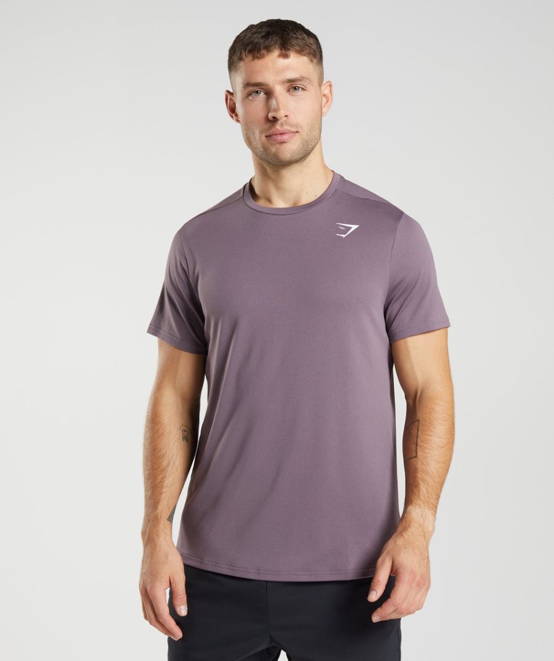 Men\'s Gymshark Arrival T-Shirts Purple | NZ 2TICMQ